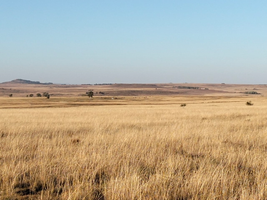 Commercial Property for Sale in Thaba Nchu Free State